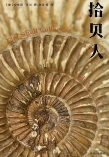 Shell Picker