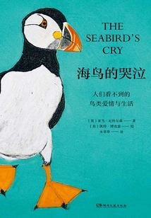 Seabird Cry