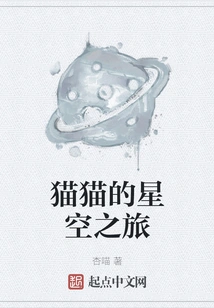 Cat's Journey to the Starry Sky