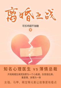 The Divorce Battle (volume 4)