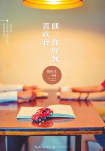 Hey, You Seem to Like Me