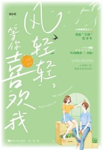 The Wind is Gentle, Waiting for You to Like Me