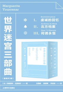 World Labyrinth Trilogy (set of 3 Volumes in Total)