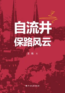 Artesian Well Road Protection Situation