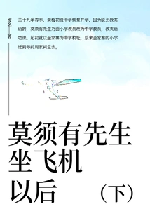 After Mr. Mo Xuyou Takes the Plane (part 2)