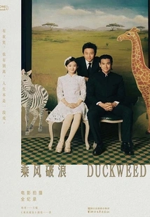 Riding the Wind and Waves