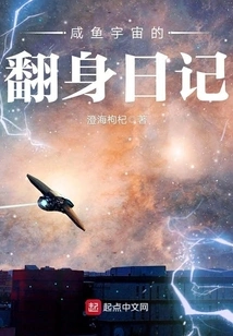 Diary of the Transformation of Salted Fish Universe