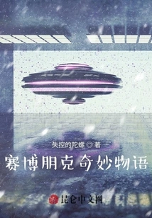 Cyberpunk Wonderful Story