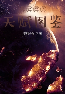 I Awakened the Talent Illustrated Book