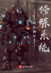 My Auxiliary Training System