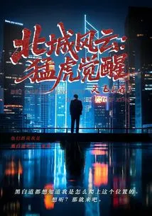 North City Storm: the Tiger Awakens