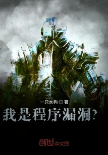 Am I a Program Flaw?