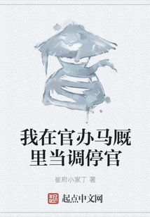 I Work as a Mediator in the Government Stable