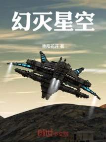 Disillusionment Starry Sky