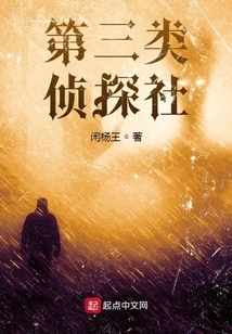 Detective Agency of the Third Category