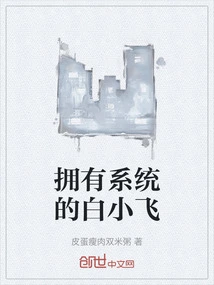 Bai Xiaofei Who Owns the System