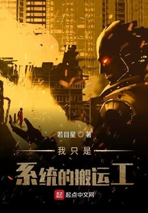 I'm Just a Porter of the System