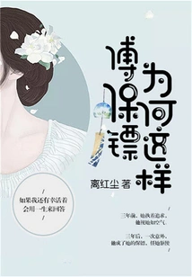 Why is Bodyguard Fu Like This?