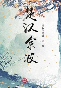 The Heart of Chu and Han Dynasties