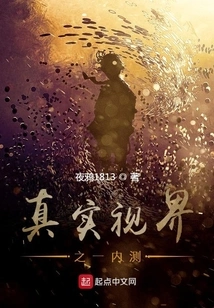 True Vision Internal Beta