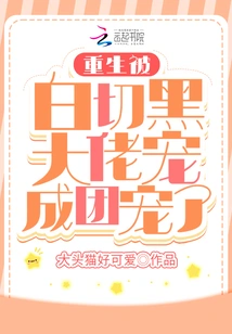 I Was Reborn and Was Pampered by the Boss Bai Qie Hei