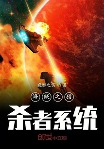 Pirate Hunter System