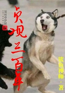 Three Hundred Years of Zhenguan