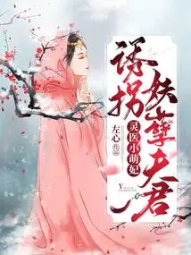 The Little Cute Concubine of the Spiritual Doctor: Abducting the Evil Husband
