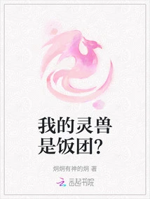 My Spirit Animal is a Rice Ball?