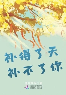 I Can Patch You Up, but Heaven Can't Patch You Up