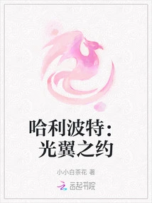 Harry Potter: Covenant on the Wings of Light