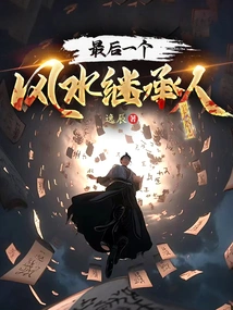 The Last Feng Shui Heir