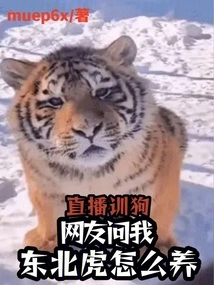 Live Dog Training: Netizens Asked Me How to Raise Siberian Tigers