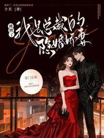 Showdown, I Am the Ceo's Secretly Married Wife