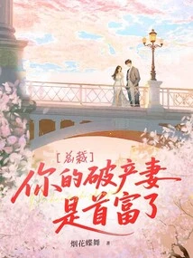 Ceo, Your Bankrupt Wife is Now the Richest Man