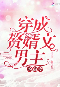 Dressed as the Ex-wife of the Male Protagonist in the Novel