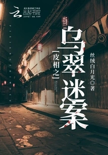 The Mysterious Case of Wu Cui on the Surface