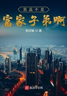 I'm Really Not a Kid from a Rich Family