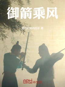 Flying with Arrows and Riding the Wind