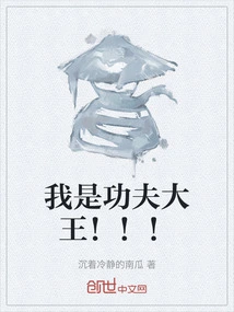 I Am the Kung Fu King! ! !