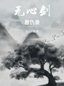 The Unintentional Sword Enmity Record