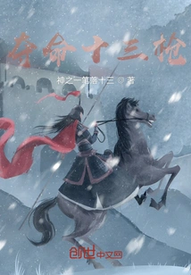 Thirteen Fatal Shots