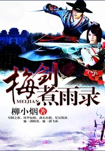 Plum Sword Boiling Rain Record