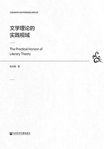 The Practical Perspective of Literary Theory