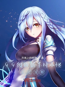 Have You Seen the Level 99 Mobs in the Novice Village?