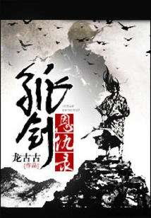 The Lone Sword Enmity Record