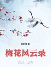 Plum Blossom Chronicles