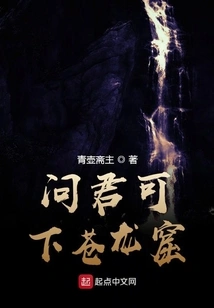 I Asked You If I Can Go Down to Canglong Cave