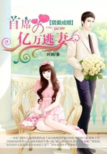 Hunting for Love and Marriage: the Chief's Billionaire Fugitive Wife