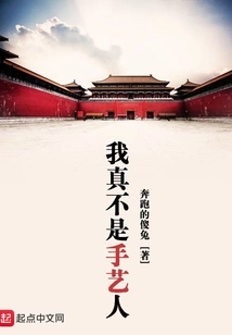 I'm Really Not a Craftsman